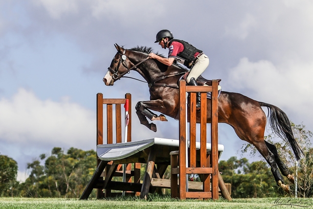 jumping cross country