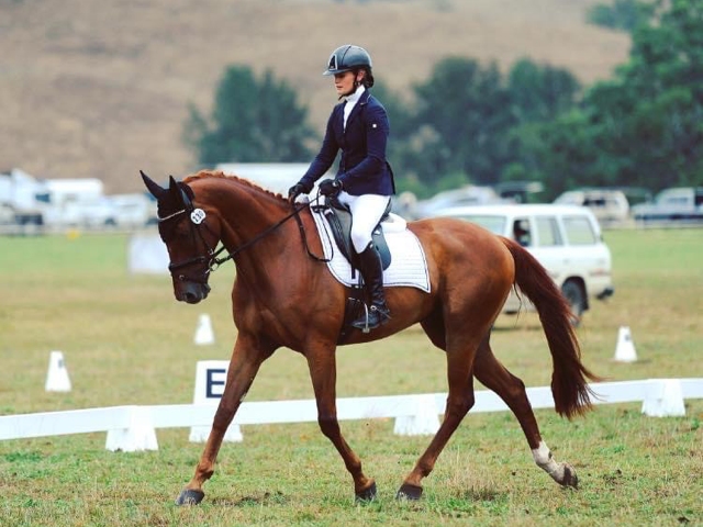 riding a dressage test