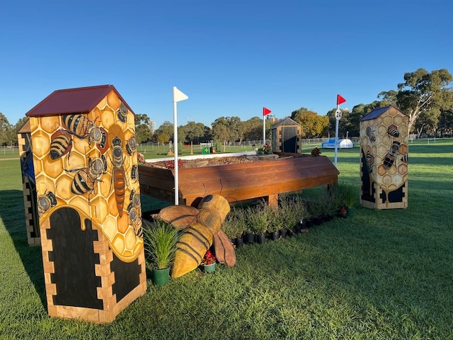 Adelaide Bees