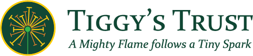 Tiggys Trust logo